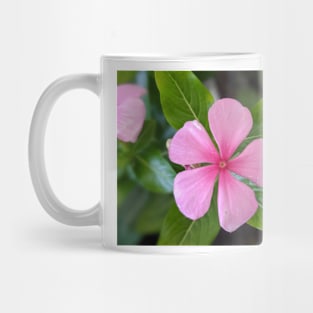 Little Pink Flower with Leaves Photographic Image Mug